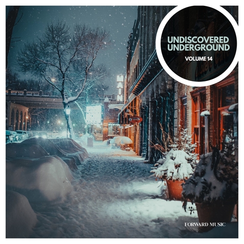 VA - Undiscovered Underground, Vol. 14 [FM055LP]